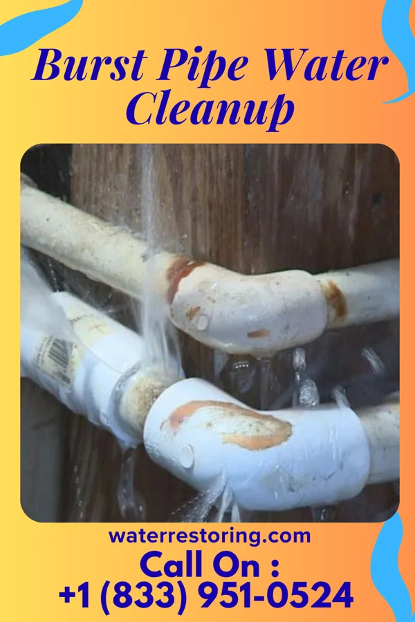 Burst Pipe Water Cleanup in North Middletown, KY