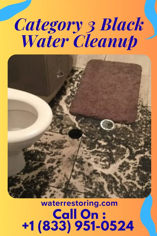 Category 3 Black Water Cleanup in North Middletown, KY