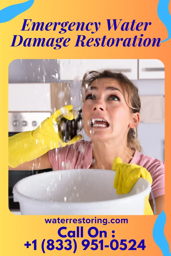 Emergency Water Damage Restoration in North Middletown, KY