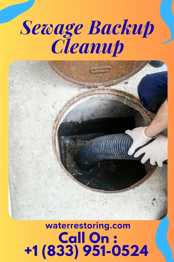 Sewage Backup Cleanup in North Middletown, KY
